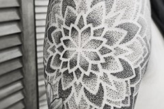 C2DDE4E6-7EEB-4E53-B5E4-7FC169952299