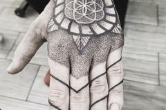 E65815CC-B24C-4DBD-91D0-0A6BD12686D7