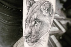 61A90EEE-FF81-4A7B-91EA-D55ED0292787