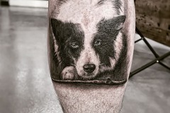 A78E2675-EA0D-438B-B0DD-2EFC380781FB